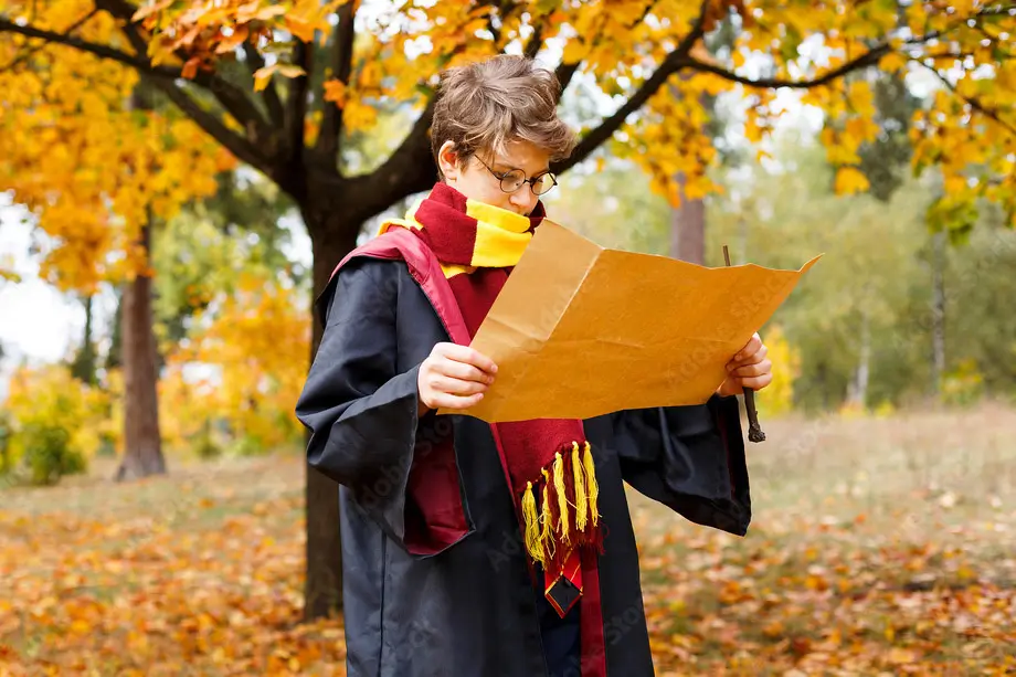 Anniversaire Harry Potter