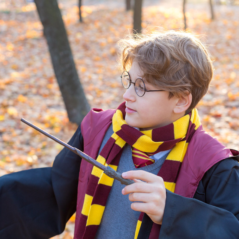 Fete anniversaire Harry Potter